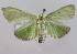  ( - NAFU Pyr000138)  @13 [ ] Copyright (2010) Unspecified Northwest Agriculture and Forest University