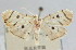  ( - NAFU Pyr000506)  @11 [ ] Copyright (2010) Unspecified Northwest Agriculture and Forest University