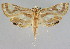  ( - NAFU Pyr000639)  @11 [ ] Copyright (2010) Unspecified Northwest Agriculture and Forest University