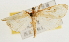  ( - Pyr001662)  @12 [ ] Copyright (2010) Unspecified Northwest Agriculture and Forest University