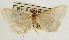  ( - Pyr001678)  @11 [ ] Copyright (2010) Unspecified Northwest Agriculture and Forest University