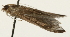  (Charitoprepes - Pyr001712)  @13 [ ] Copyright (2010) Unspecified Northwest Agriculture and Forest University