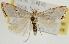  ( - Pyr001741)  @14 [ ] Copyright (2010) Unspecified Northwest Agriculture and Forest University