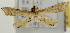  ( - Pyr001865)  @12 [ ] Copyright (2010) Unspecified Northwest Agriculture and Forest University