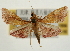  ( - Pyr001956)  @12 [ ] Copyright (2010) Unspecified Northwest Agriculture and Forest University