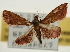  ( - Pyr001958)  @12 [ ] Copyright (2010) Unspecified Northwest Agriculture and Forest University
