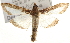  ( - Pyr000101)  @14 [ ] Copyright (2010) Unspecified Northwest Agriculture and Forest University
