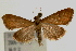  ( - Pyr000244)  @13 [ ] Copyright (2010) Unspecified Northwest Agriculture and Forest University