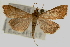  ( - Pyr000245)  @14 [ ] Copyright (2010) Unspecified Northwest Agriculture and Forest University