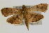  ( - Pyr000319)  @13 [ ] Copyright (2010) Unspecified Northwest Agriculture and Forest University