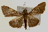  ( - Pyr000325)  @13 [ ] Copyright (2010) Unspecified Northwest Agriculture and Forest University