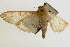  ( - Pyr000415)  @11 [ ] Copyright (2010) Unspecified Northwest Agriculture and Forest University