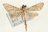  ( - Pyr000924)  @13 [ ] Copyright (2010) Unspecified Northwest Agriculture and Forest University