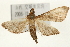  ( - Pyr000930)  @12 [ ] Copyright (2010) Unspecified Northwest Agriculture and Forest University