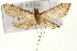  ( - Pyr000931)  @14 [ ] Copyright (2010) Unspecified Northwest Agriculture and Forest University