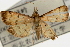  ( - Pyr000603)  @13 [ ] Copyright (2010) Unspecified Northwest Agriculture and Forest University