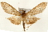  ( - Pyr000972)  @14 [ ] Copyright (2010) Unspecified Northwest Agriculture and Forest University