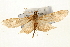  ( - Pyr000973)  @13 [ ] Copyright (2010) Unspecified Northwest Agriculture and Forest University