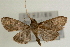 ( - Pyr000657)  @13 [ ] Copyright (2010) Unspecified Northwest Agriculture and Forest University