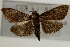 ( - Pyr000660)  @13 [ ] Copyright (2010) Unspecified Northwest Agriculture and Forest University