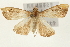  ( - Pyr001014)  @13 [ ] Copyright (2010) Unspecified Northwest Agriculture and Forest University