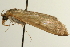  ( - Pyr000737)  @11 [ ] Copyright (2010) Unspecified Northwest Agriculture and Forest University