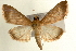  ( - Pyr000742)  @14 [ ] Copyright (2010) Unspecified Northwest Agriculture and Forest University