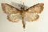  ( - Pyr000746)  @13 [ ] Copyright (2010) Unspecified Northwest Agriculture and Forest University