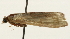  ( - Pyr001080)  @12 [ ] Copyright (2010) Unspecified Northwest Agriculture and Forest University