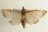  ( - Pyr000751)  @11 [ ] Copyright (2010) Unspecified Northwest Agriculture and Forest University
