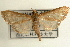  ( - Pyr000752)  @13 [ ] Copyright (2010) Unspecified Northwest Agriculture and Forest University