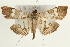  ( - Pyr000790)  @14 [ ] Copyright (2010) Unspecified Northwest Agriculture and Forest University