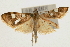  ( - Pyr000801)  @13 [ ] Copyright (2010) Unspecified Northwest Agriculture and Forest University