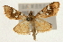  ( - Pyr000806)  @14 [ ] Copyright (2010) Unspecified Northwest Agriculture and Forest University