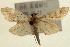  ( - Pyr000810)  @13 [ ] Copyright (2010) Unspecified Northwest Agriculture and Forest University