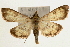  ( - Pyr000834)  @15 [ ] Copyright (2010) Unspecified Northwest Agriculture and Forest University