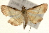  ( - Pyr000846)  @13 [ ] Copyright (2010) Unspecified Northwest Agriculture and Forest University