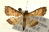  ( - Pyr000848)  @13 [ ] Copyright (2010) Unspecified Northwest Agriculture and Forest University