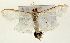  ( - Pyr001265)  @11 [ ] Copyright (2010) Unspecified Northwest Agriculture and Forest University