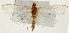  ( - Pyr001289)  @13 [ ] Copyright (2010) Unspecified Northwest Agriculture and Forest University