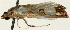  ( - Pyr001291)  @13 [ ] Copyright (2010) Unspecified Northwest Agriculture and Forest University