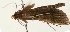  ( - Pyr001298)  @12 [ ] Copyright (2010) Unspecified Northwest Agriculture and Forest University