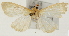  ( - Pyr001299)  @12 [ ] Copyright (2010) Unspecified Northwest Agriculture and Forest University