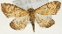  ( - Pyr001301)  @14 [ ] Copyright (2010) Unspecified Northwest Agriculture and Forest University