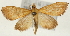  ( - Pyr001320)  @14 [ ] Copyright (2010) Unspecified Northwest Agriculture and Forest University