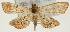  ( - Pyr001345)  @14 [ ] Copyright (2010) Unspecified Northwest Agriculture and Forest University