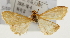  ( - Pyr001398)  @13 [ ] Copyright (2010) Unspecified Northwest Agriculture and Forest University