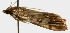  ( - Pyr001400)  @11 [ ] Copyright (2010) Unspecified Northwest Agriculture and Forest University