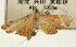  ( - Pyr001435)  @11 [ ] Copyright (2010) Unspecified Northwest Agriculture and Forest University