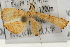 (Mabra nigriscripta - Pyr001439)  @13 [ ] Copyright (2010) Unspecified Northwest Agriculture and Forest University